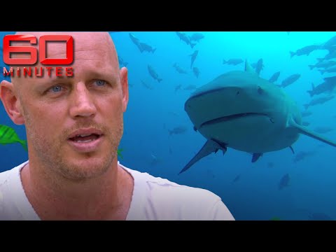 Brave diver's arm and leg ripped off by bull shark in Sydney | 60 Minutes Australia