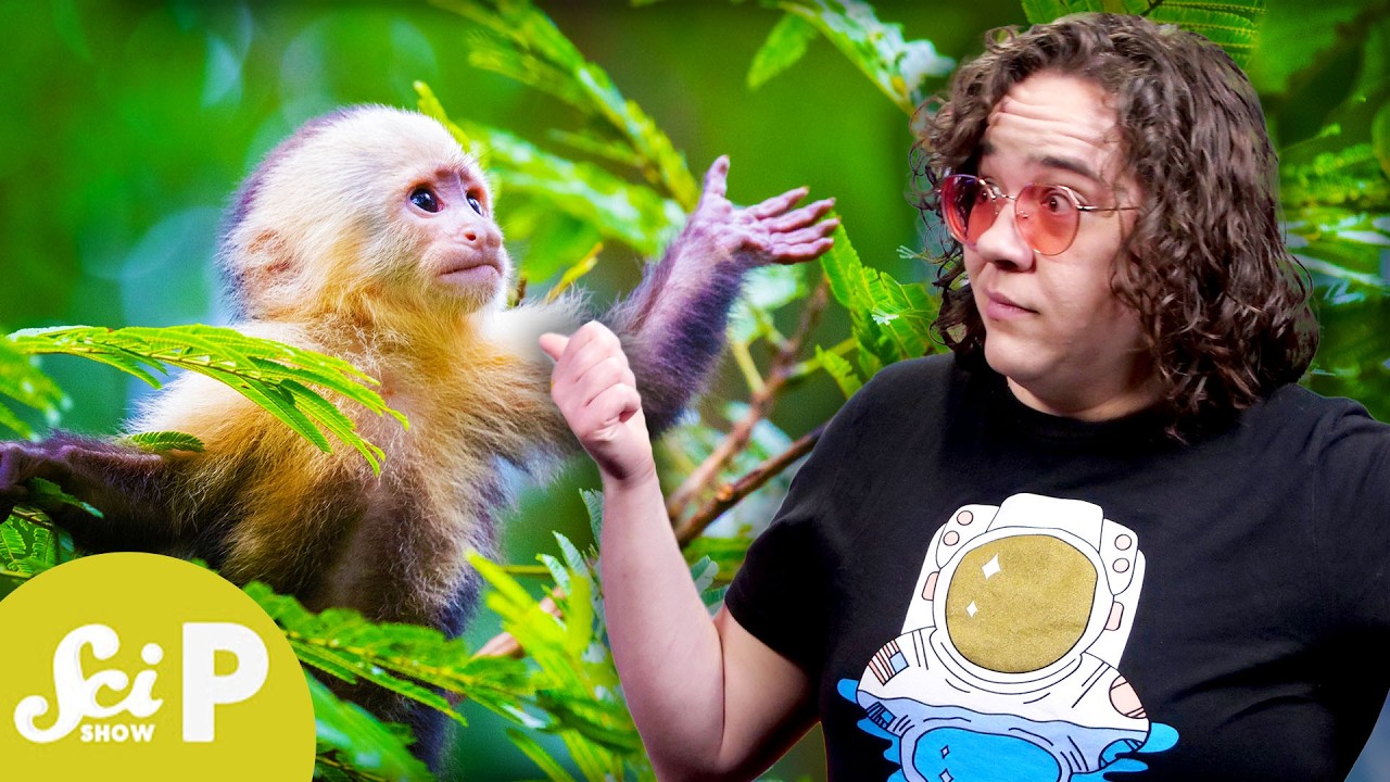 6 Ways Animals Pee Weird