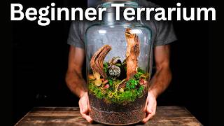 How to Make a Beginner Terrarium (Step-by-Step Tutorial)