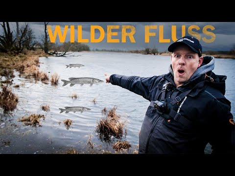 Biss auf Biss: Hechtangeln am wilden Fluss 🎣💥 | Tipps & Action für Raubfischangler