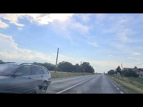 Branistea Galati Romania