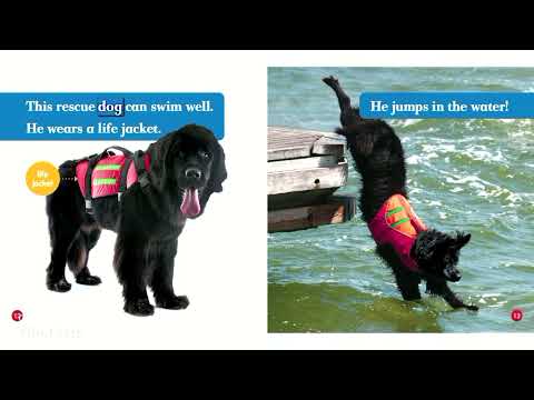 ANIMALS || DOGS ON DUTY || SEARCH AND RESCUE DOGS || READ ALOUD