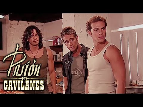Pasion de Gavilanes - Los Reyes pelean con familia de Hortensia
