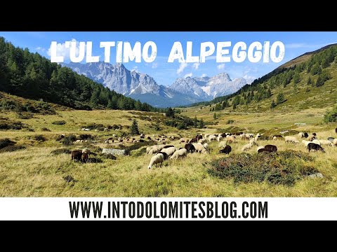 L'ULTIMO ALPEGGIO - VAL LORERA