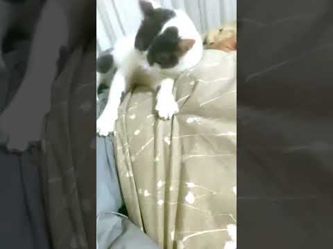 SHE CAN'T GET ENOUGH OF HER DIRTY DAD 🥰