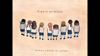 Tigers On Trains  - Staircase