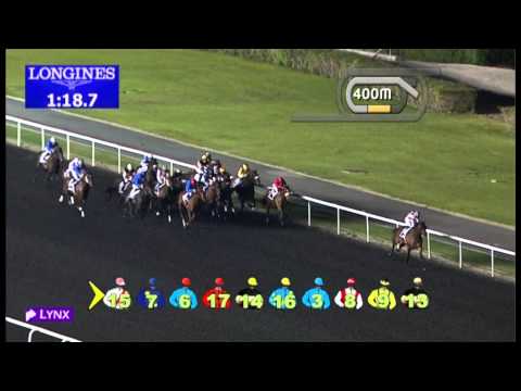 19.01.2013 Meydan (Dubai-UAE) 2.Race Swaidan Trading, Peugeot Division Trophy - 1.600 m