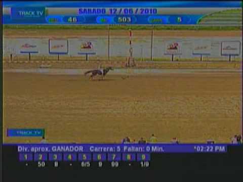 Resumen sábado 12 de Junio 2010 - La Rinconada