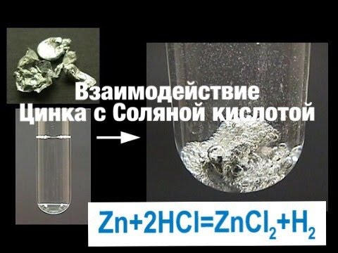 Соляная кислота и цинк уравнение реакции. Взаимодействие цинка с кислотами. Цинк реагирует с соляной кислотой. Взаимодействие цинка с соляной кислотой уравнение. Взаимодействие цинка с кислотами.