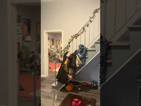 353 Oakland Ave Apt 1 & 2 - Video 2 of 2