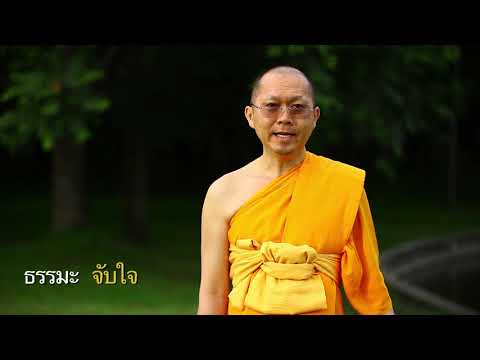 โคโยตี้สำหรับหน้าอกเล็ก หน้าอกเล็ก 14 วัน