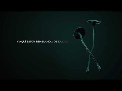 Pedro Pastor y Los Locos Descalzos ft. Lola Membrillo (Perotá Chingó) - El Baile (Video Lyric)