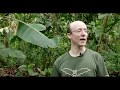 Daniel Hargreaves -  Bat Researcher - Honduran White Bats