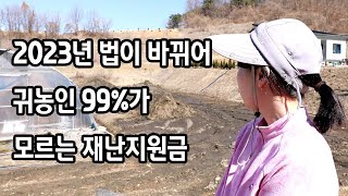 하우스가 무너지고 알게 된 것들(호우,대설,지진 등 자연피해)