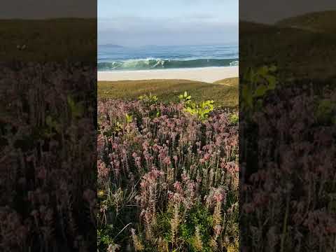 Relaxar - Praia de Itaipuaçu Maricá RJ | Relax -  Rio de janeiro - Brazil