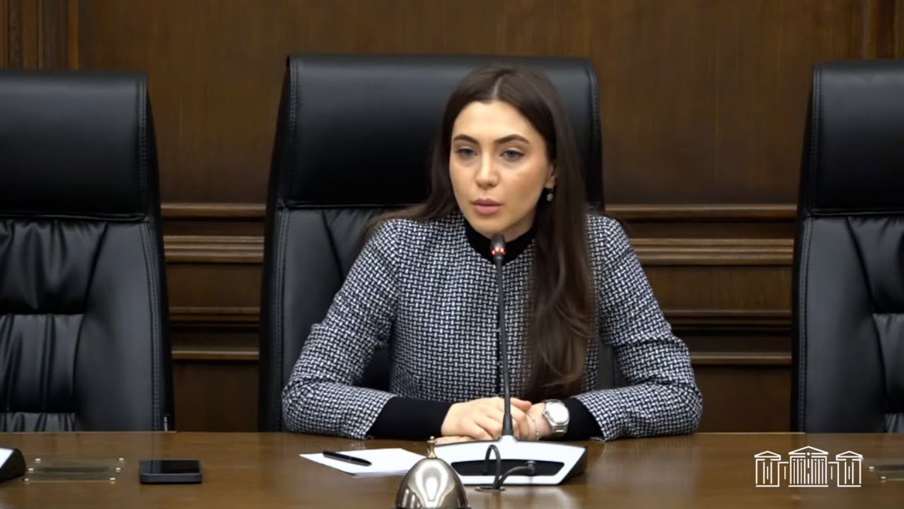 ՀՀ-ն ի զորու էր պաշտպանել իր սահմանները մինչև Նիկոլի դավաճանությունը