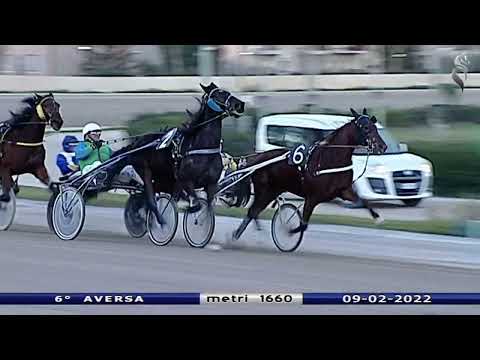 Aversa trotto 9 Febbraio 2022 - 6° Corsa
