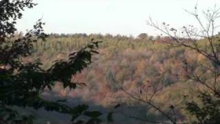 Clearfield PA 400  Acres Auction