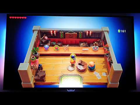 Zelda Link's Awakening - Animal village, Dream Shrine, Finding Marin and moving the walrus