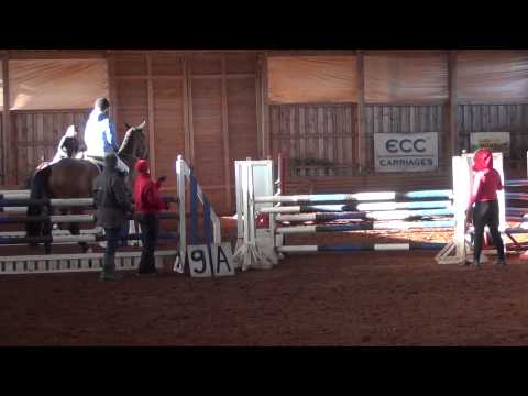 Freedom (Eldorado vd Zeshoek x Corland) 110cm 21.03.15