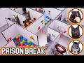 EXTREME PRISON BREAK Challenge For ANIMALS Will Pets ESCAPE
