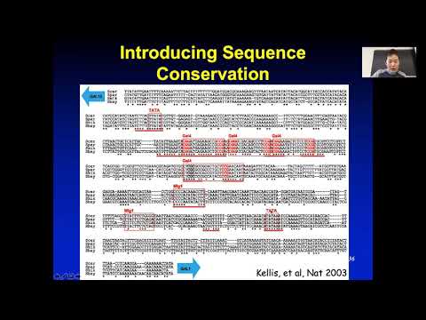 STAT115 Chapter 10.5 Motif Conservation and Modules
