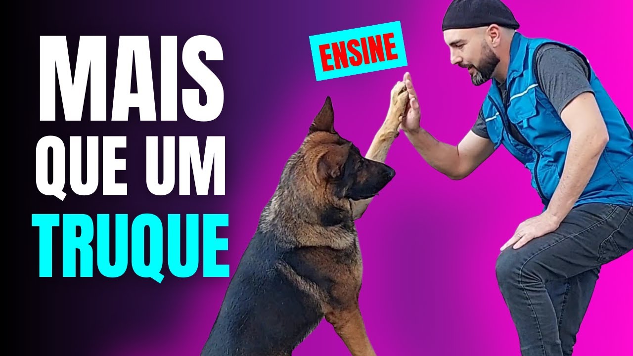 TÉCNICA SIMPLES E EFICAZ  para ensinar o cachorro DAR A PATA