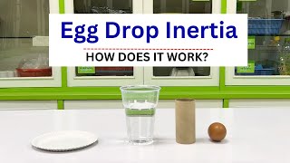 Egg Drop Inertia | How does it work?