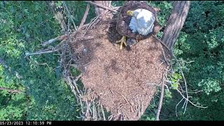 River Brings Fish! - Dale Hollow Eagles - May 23, 2023