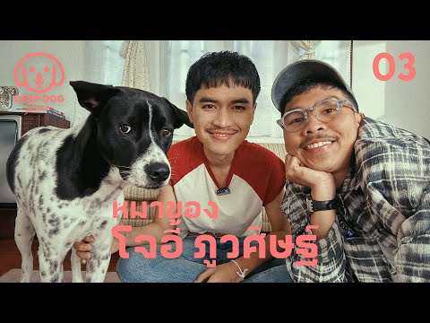 หมาของโจอี้ ภูวศิษฐ์  @JOEYPWS  - Deep Dog Podcat 03