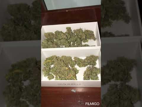 rdZeck ft el peyello - x one - CholoHousrec producciones