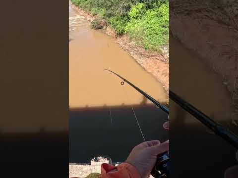 🔥MUCHA Pesca y Cocina🔥 Los Puestos y Arroyo Mista #pesca #fishing #argentina #tucuman #fish