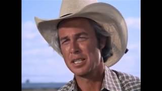 Dallas   Jock tells the family that Ray is his son