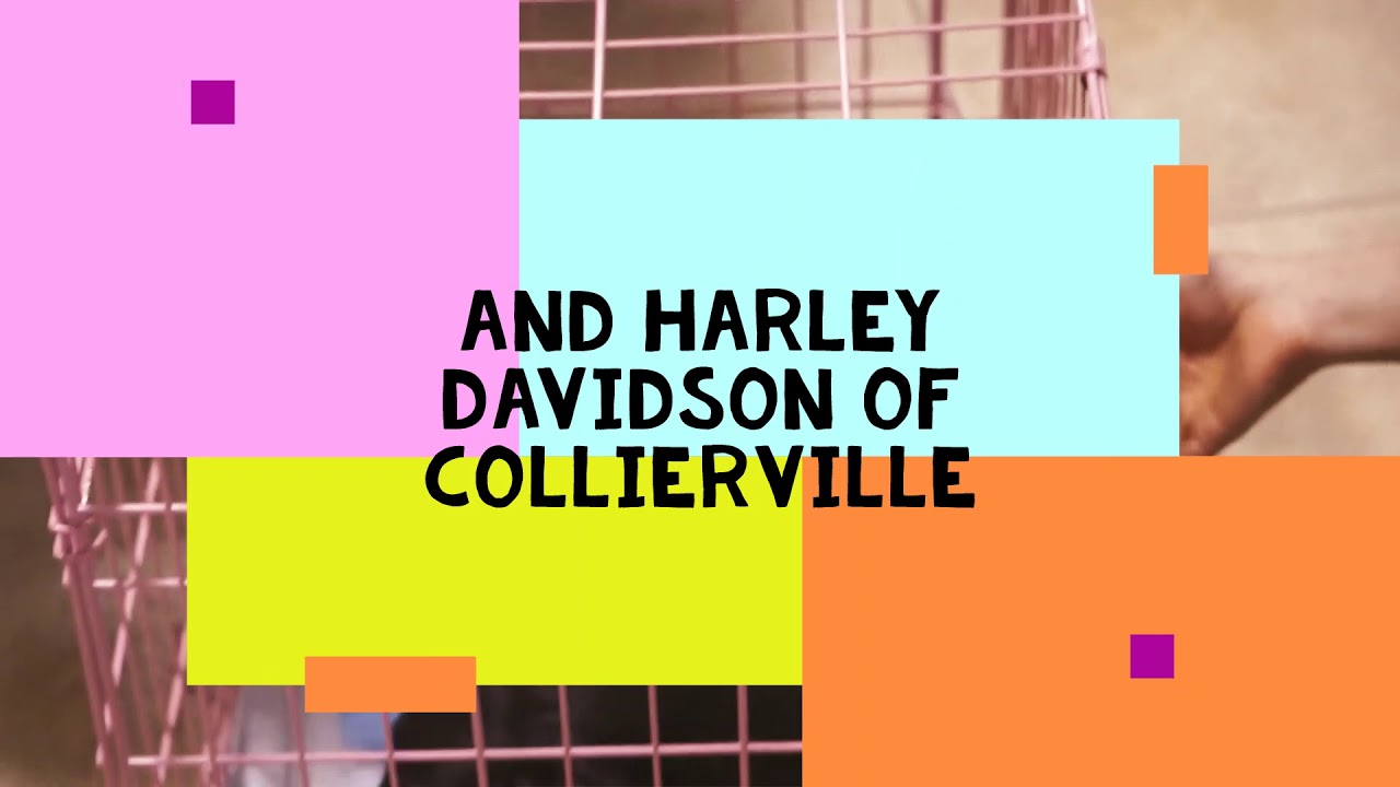 Harley Davidson & The Savior Foundation