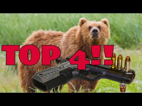 Top 4 Bear Defense Pistols for Alaska: Caliber and Model for 2024