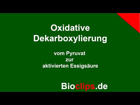 Oxidative Dekarboxylierung - Zellatmung