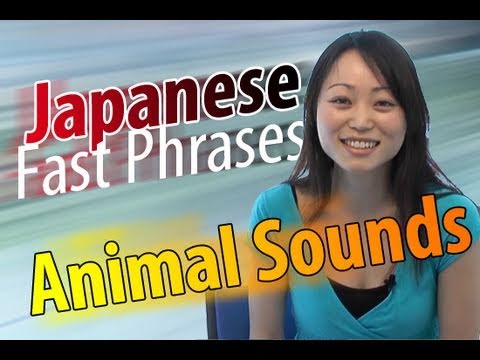 Learn Japanese Japanese Fast Phrases what is a Two Shot