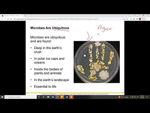 Chapter 1 Introduction to Microbes