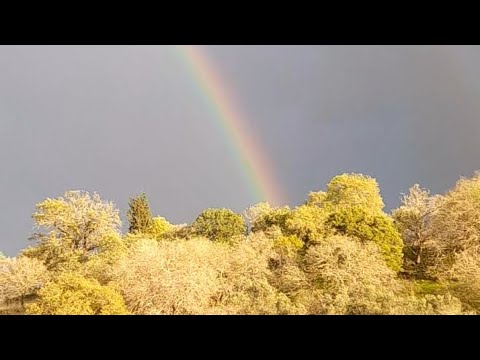 pileus clouds Undulatus clouds rainbow cirrus cloud cloud #rainbow#sun