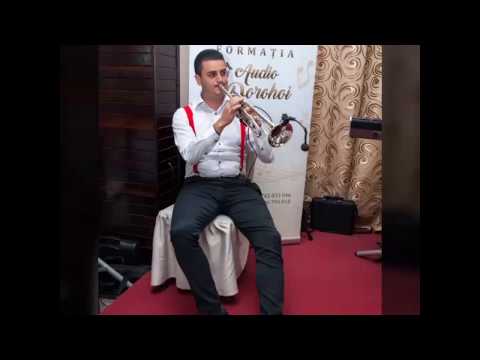 Formatia ,,AUDIO DOROHOI,-colaj Hore de ascultare-Trompeta 2019