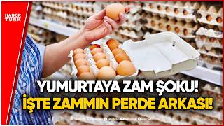 Okullar Açıldı, Fiyatlar Uçtu: Yumurtaya Neden Zam Geldi?