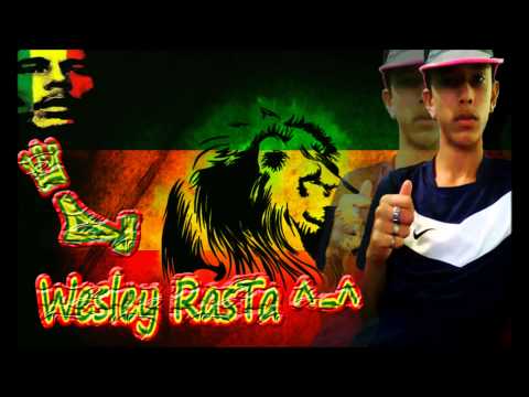 MELO DE GARÇA TORTA REMIX 2013