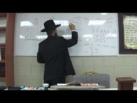 אוצרות חיים - שיעור 8