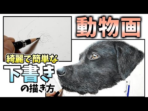 【綺麗で簡単】色鉛筆画で動物を描く時の下書の方法　[Beautiful and easy] How to draft animals with colored pencils Video