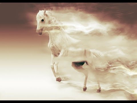 The Ancient Greek-Chinese War for the 'HEAVENLY HORSES!'