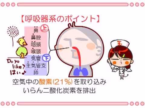 上部気道消化管 - 定義