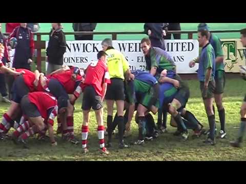 Peebles v Hamilton Bulls