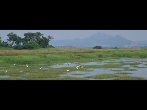 Beautiful Vasai &  Its Beaches.