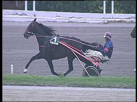 Trotto 15/03/2016 - 1° corsa