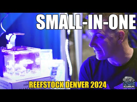 SMALL-IN-ONE Glass Desktop Saltwater/Freshwater Aquarium - PNW Custom - Reefstock Denver 2024